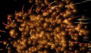 ???????????????????????????????