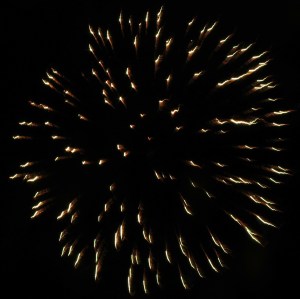 Fireworks Display, Port Carbon, 7-4-2014 (96)