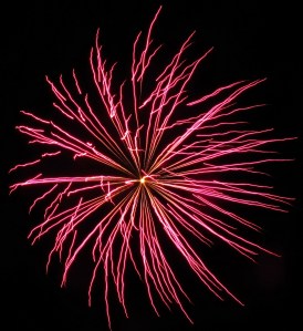 Fireworks Display, Port Carbon, 7-4-2014 (97)