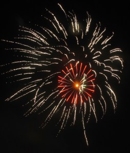 Fireworks Show, Men of Marian Picnic, Marian High School, Hometown, 7-27-2014 (114)