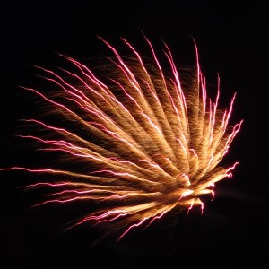 ???????????????????????????????