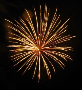 Fireworks Show, Men of Marian Picnic, Marian High School, Hometown, 7-27-2014 (37)