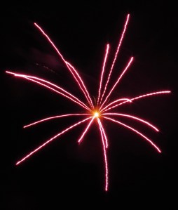 Fireworks Show, Men of Marian Picnic, Marian High School, Hometown, 7-27-2014 (42)