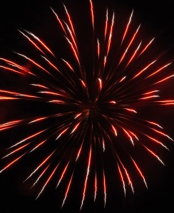 Fireworks Show, Men of Marian Picnic, Marian High School, Hometown, 7-27-2014 (59)