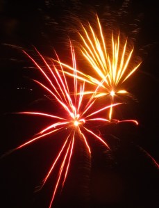 Fireworks Show, Men of Marian Picnic, Marian High School, Hometown, 7-27-2014 (83)
