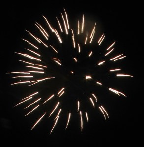 Fireworks Show, Men of Marian Picnic, Marian High School, Hometown, 7-27-2014 (91)