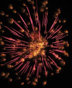 Fireworks Show, Men of Marian Picnic, Marian High School, Hometown, 7-27-2014 (95)