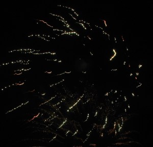 Fireworks Show, Men of Marian Picnic, Marian High School, Hometown, 7-27-2014 (98)