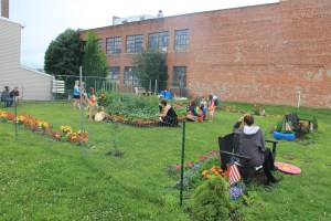 Lettuce, Vegetable Picking, Kids Activities, Lansford Community Garden, Lansford, 7-28-2014 (1)