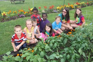 Lettuce, Vegetable Picking, Kids Activities, Lansford Community Garden, Lansford, 7-28-2014 (12)