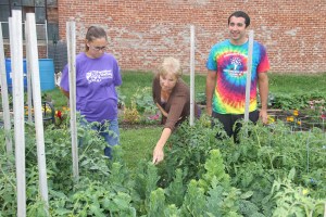Lettuce, Vegetable Picking, Kids Activities, Lansford Community Garden, Lansford, 7-28-2014 (17)