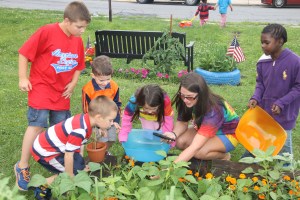 Lettuce, Vegetable Picking, Kids Activities, Lansford Community Garden, Lansford, 7-28-2014 (31)