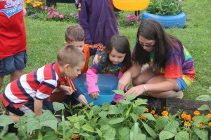 Lettuce, Vegetable Picking, Kids Activities, Lansford Community Garden, Lansford, 7-28-2014 (32)