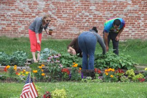 Lettuce, Vegetable Picking, Kids Activities, Lansford Community Garden, Lansford, 7-28-2014 (45)