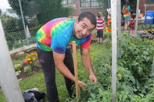 Lettuce, Vegetable Picking, Kids Activities, Lansford Community Garden, Lansford, 7-28-2014 (62)