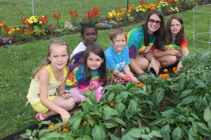 Lettuce, Vegetable Picking, Kids Activities, Lansford Community Garden, Lansford, 7-28-2014 (8)
