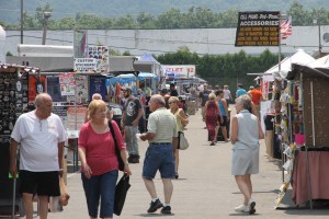 Photos at Hometown Auction, Farmers Market, Hometown, 7-23-2014 (12)