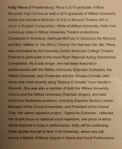 Schuylkill County Musicians Showcase, TACT, Community Arts Center, Tamaqua, 7-26-2014 (267)