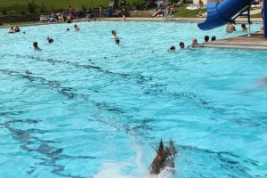 Tamaqua Bungalow Pool