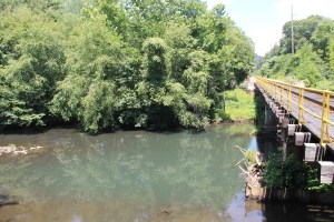 Train Tressel, Bridge Above Little Schuylkill River, New Ringgold, 7-26-2014 (15)