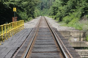 Train Tressel, Bridge Above Little Schuylkill River, New Ringgold, 7-26-2014 (24)