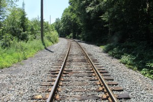 Train Tressel, Bridge Above Little Schuylkill River, New Ringgold, 7-26-2014 (6)