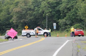 Tree Service Worker Killed by Van, Morea Road, Mahanoy Township, 7-31-2014 (20)
