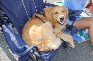 Volunteers, St. Joseph Parish Festival, St. Joseph's Church, Summit Hill, 7-20-2014 (27)