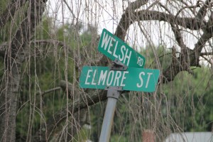 Water Main Leak, Welsh Road, Hometown, 7-13-2014 (10)