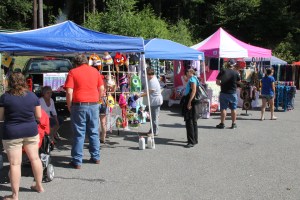 Community Festival, Nesquehoning Hose Company No. 1, Nesquehoning, 8-17-2014  (5)