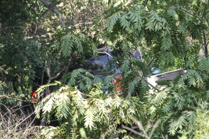MVA, Car Misses Trees, mile marker 125.2, Interstate 81, Ryan Township,8-9-2014 (11)