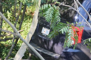 MVA, Car Misses Trees, mile marker 125.2, Interstate 81, Ryan Township,8-9-2014 (24)