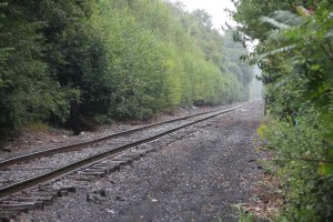 Photo of Tracks, after Train Amputates Part of 12 Yr Old Girl's Leg, Mahanoy City, 8-20-2014 (2)
