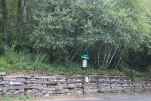 Photo of Tracks, after Train Amputates Part of 12 Yr Old Girl's Leg, Mahanoy City, 8-20-2014 (20)