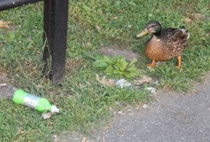 Pre Schuylkill River Cleanup, Next to Boyer's Food Market, Tamaqua, 8-7-2014 (1)