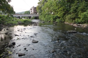 Pre Schuylkill River Cleanup, Next to Boyer's Food Market, Tamaqua, 8-7-2014 (25)