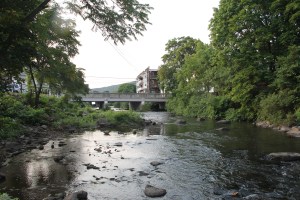 Pre Schuylkill River Cleanup, Next to Boyer's Food Market, Tamaqua, 8-7-2014 (40)
