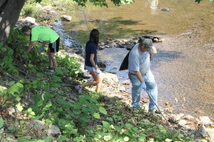 River Cleanup, Little Schuylkill River, next to Boyer's Food Market, Tamaqua, 8-9-2014 (16)