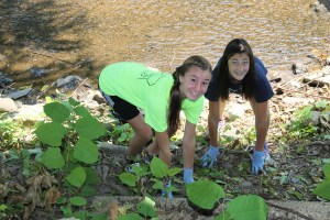 River Cleanup, Little Schuylkill River, next to Boyer's Food Market, Tamaqua, 8-9-2014 (19)