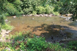 River Cleanup, Little Schuylkill River, next to Boyer's Food Market, Tamaqua, 8-9-2014 (58)