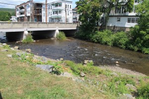 River Cleanup, Little Schuylkill River, next to Boyer's Food Market, Tamaqua, 8-9-2014 (59)