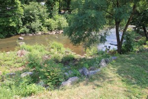 River Cleanup, Little Schuylkill River, next to Boyer's Food Market, Tamaqua, 8-9-2014 (60)