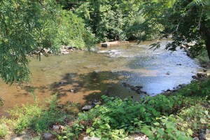 River Cleanup, Little Schuylkill River, next to Boyer's Food Market, Tamaqua, 8-9-2014 (61)