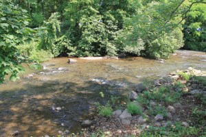 River Cleanup, Little Schuylkill River, next to Boyer's Food Market, Tamaqua, 8-9-2014 (62)