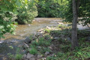 River Cleanup, Little Schuylkill River, next to Boyer's Food Market, Tamaqua, 8-9-2014 (64)