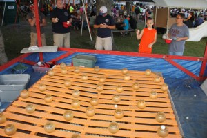 Second Day of Block Party, Delano Fire Company, Delano, 8-9-2014 (46)
