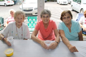 Senior Fun Day via West Penn Lions Club, Community Park, Tamaqua, 8-2-2014 (35)