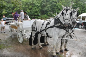 St. John XXIII Parish Picnic, West Penn Community Park, West Penn, 8-1-2014 (119)