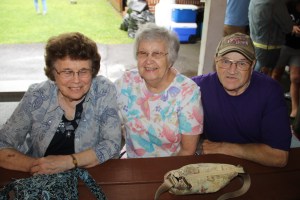 St. John XXIII Parish Picnic, West Penn Community Park, West Penn, 8-1-2014 (46)