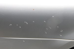 Vandals, Gay Street, Hunter Street, Tamaqua, 8-2-2014 (14)